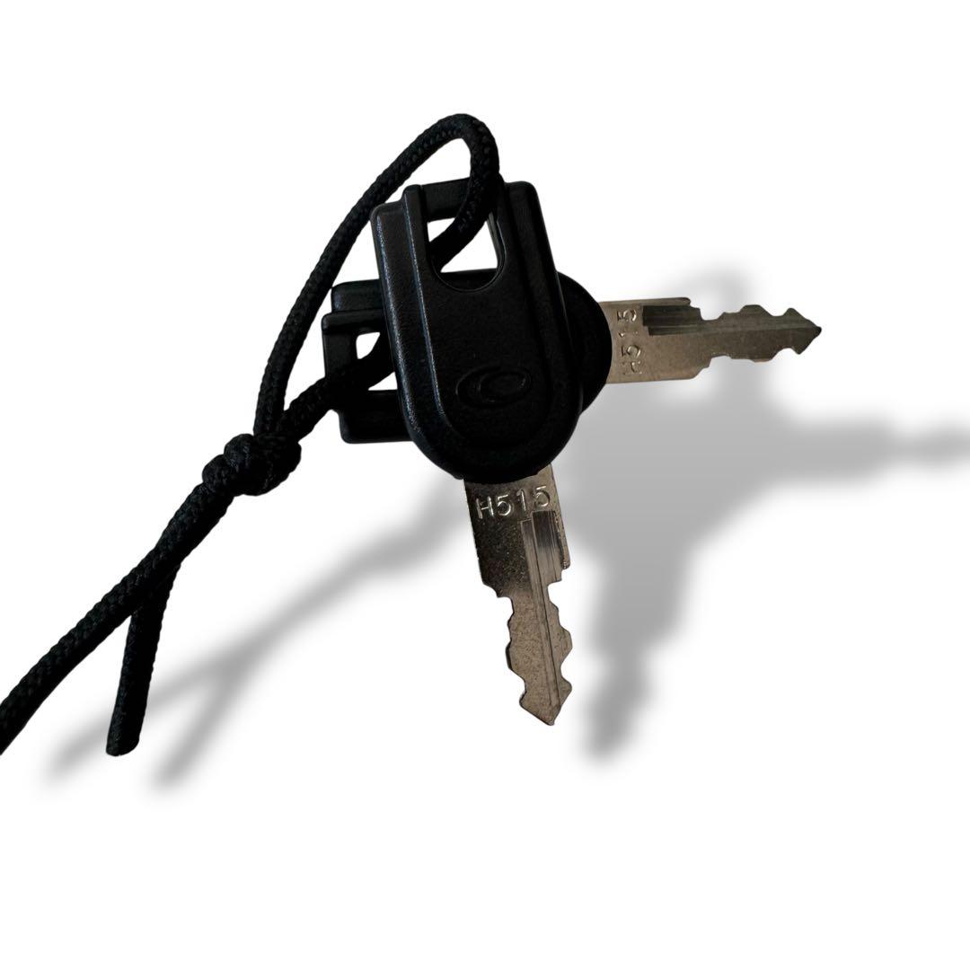 美品 Ace ProtecA ハードキャリーケース 40L 機内持ち込み可能 黒