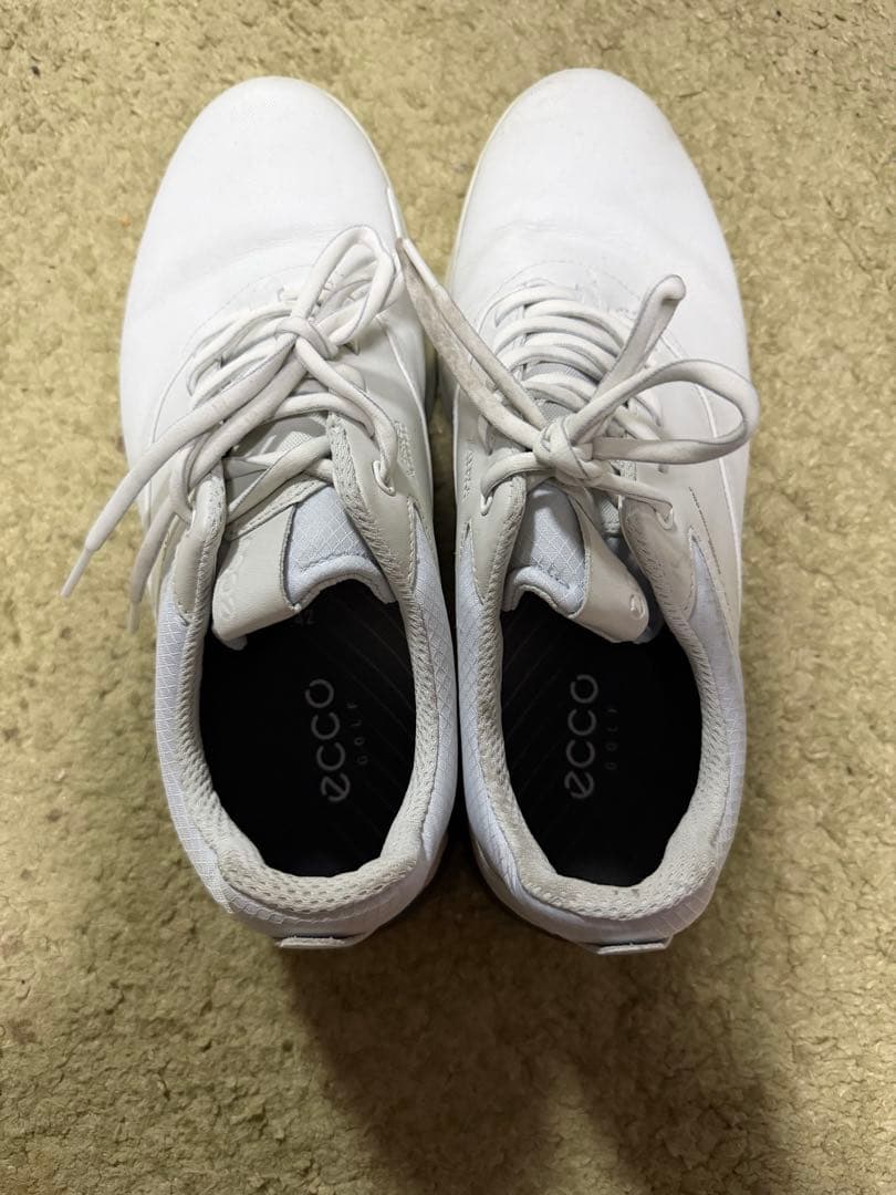 ecco ホワイト ゴルフシューズ