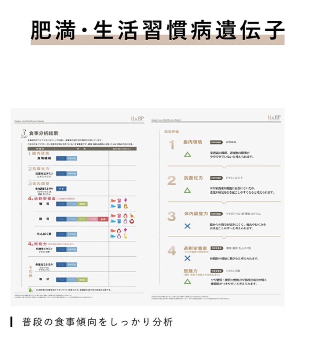 【新品】H&BP 遺伝子検査キット 肥満 生活習慣病　サロン専売品 3セット