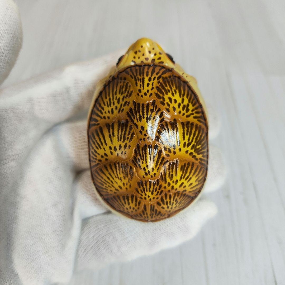 新年企画【動物の惑星】★ハラカケガメ開口（シークレット）★激レア! フィギュア