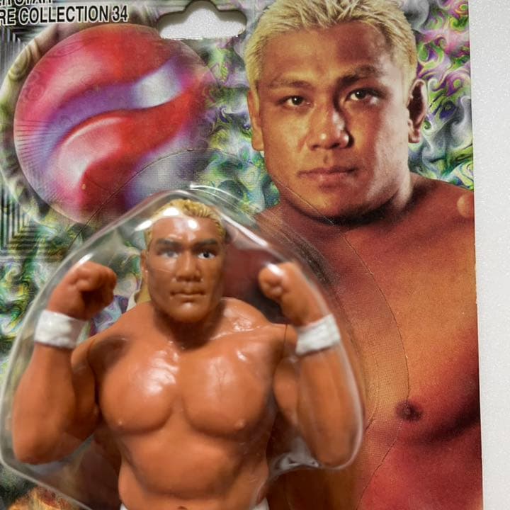 プロレスフィギュア　藤田和之