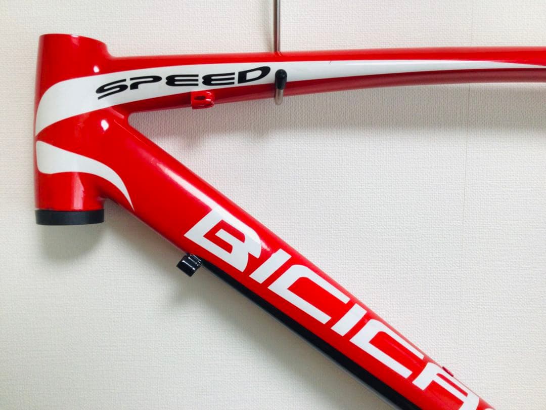 イタリアン 稀少 ペガサス ロードバイクフレームセット 未使用品