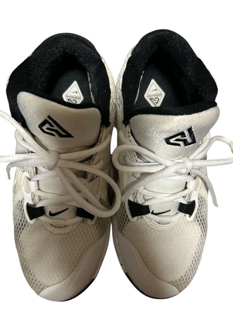 P　NIKE zoom freak 1 白x黒　23cm