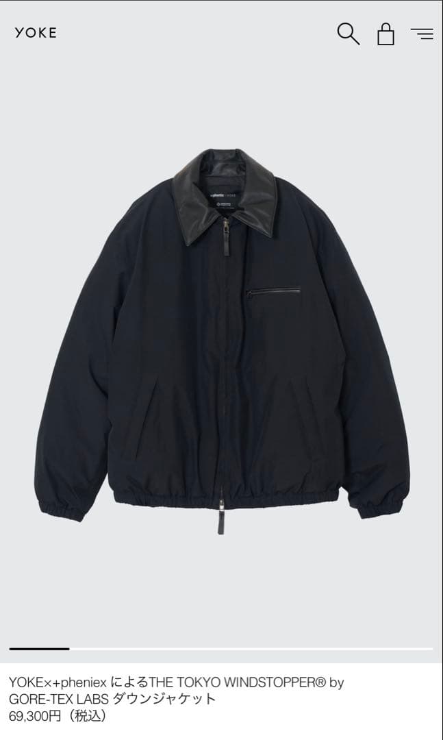 YOKE×+pheniex コラボGORE-TEX Down - メルカリ