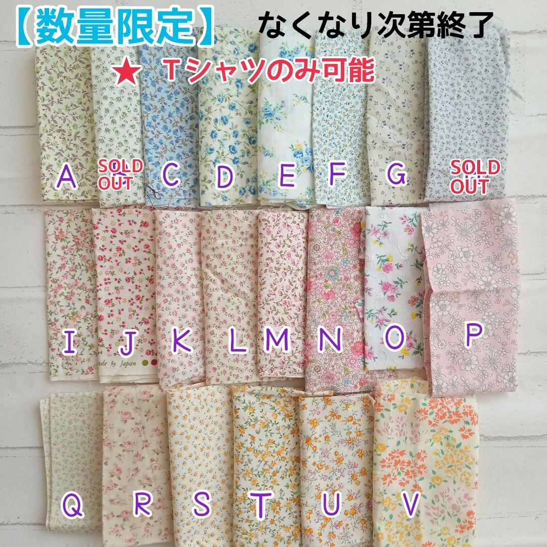 ちびぬい•すのチル•はぴぬい服色見本