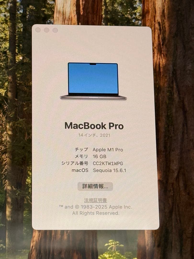 MacBook Pro 14インチ M1 Pro 16GB 512GB US配列