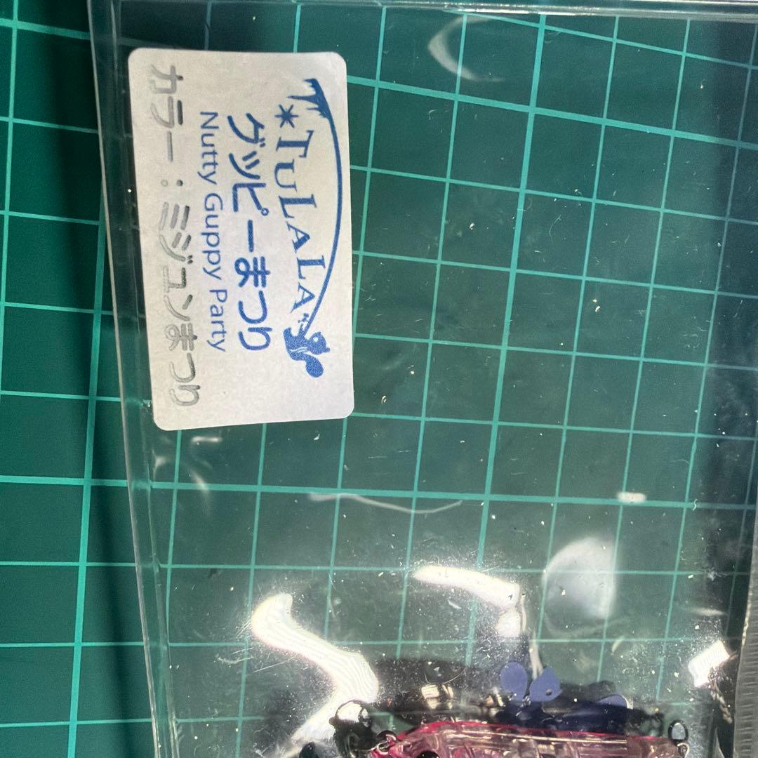 グッピーまつり　tulala