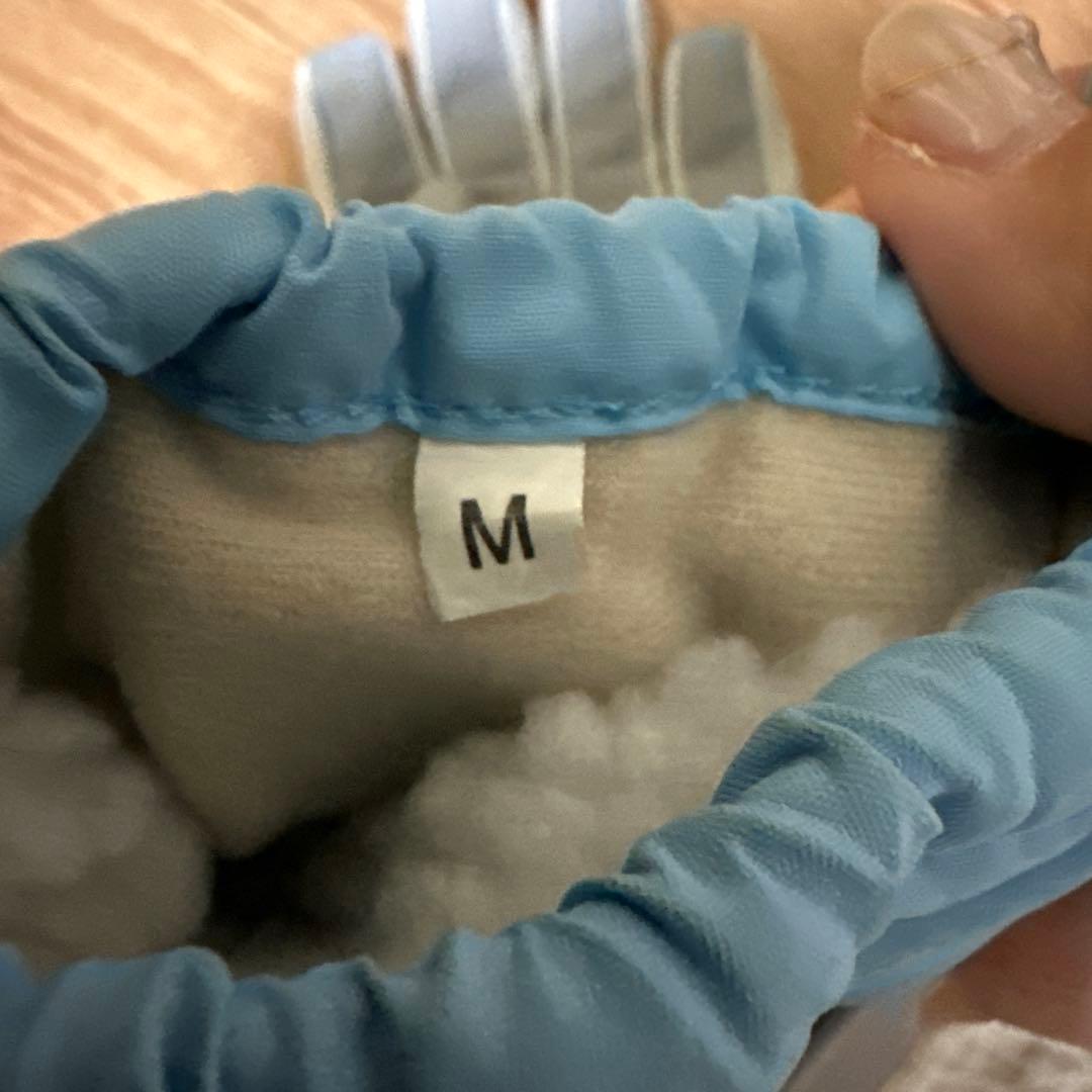 IGNIO スノーボードウェア（女性用）Mサイズ ゴーグルと手袋セット