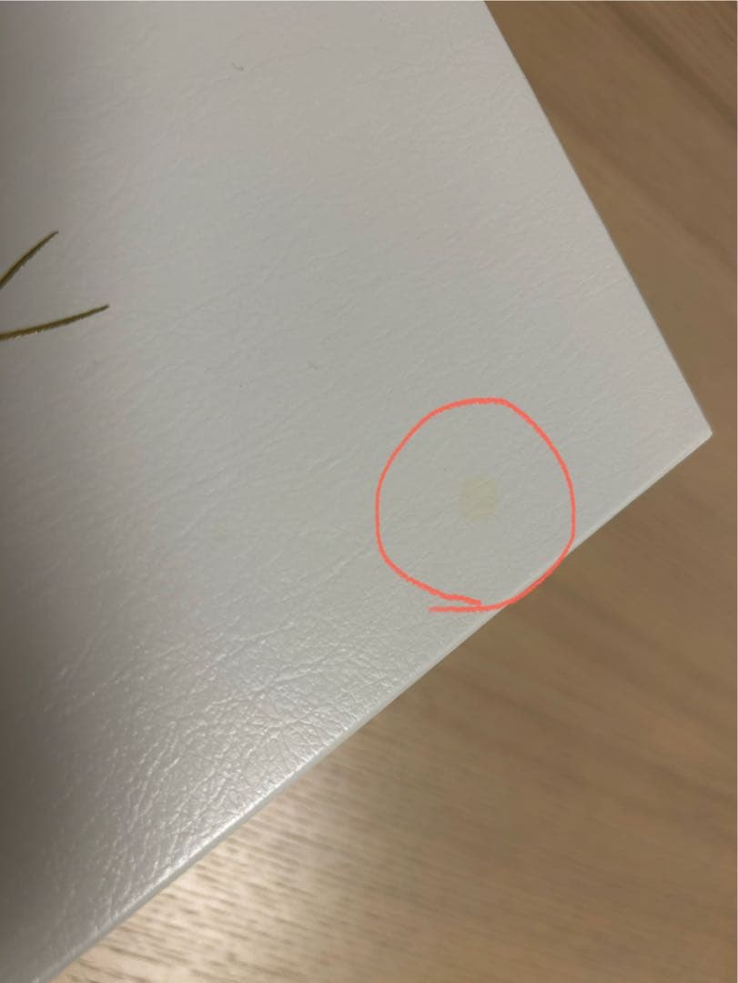 マイセン 散らしブルーオニオン＊日本オリジナル 茶器 80A073/24634