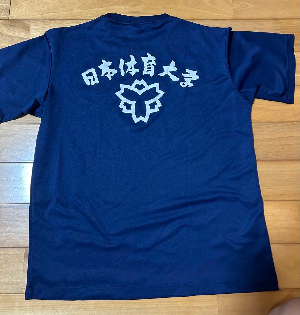 【激レア！】日本体育大学 バレーボール 80周年記念Tシャツ