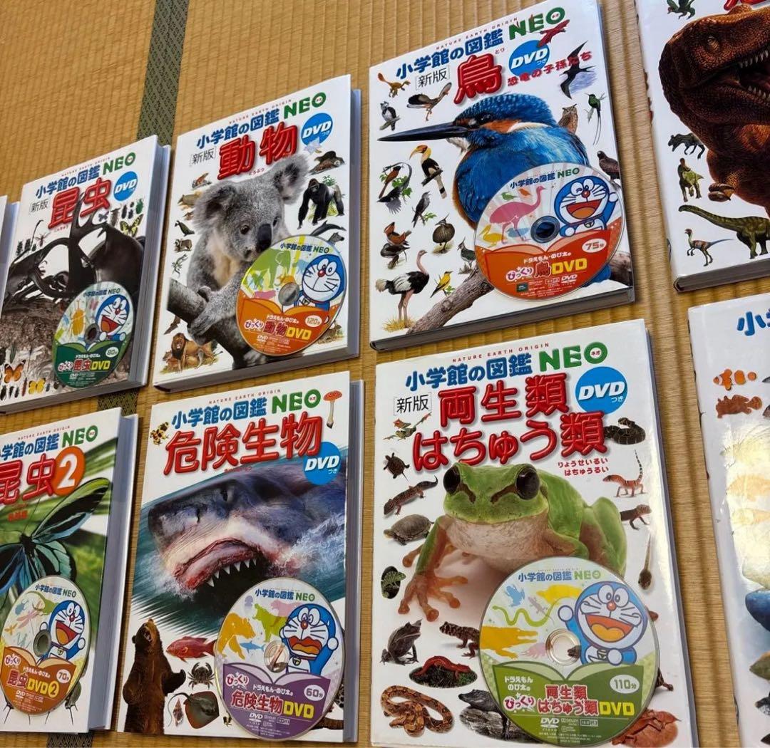 小学館の図鑑NEO 13冊セット DVD付き 美品 小学館の図鑑NEO 13