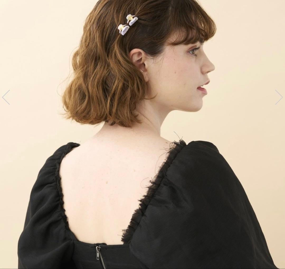 【新品未開封】alexandre de paris xsクリップ 2個セット