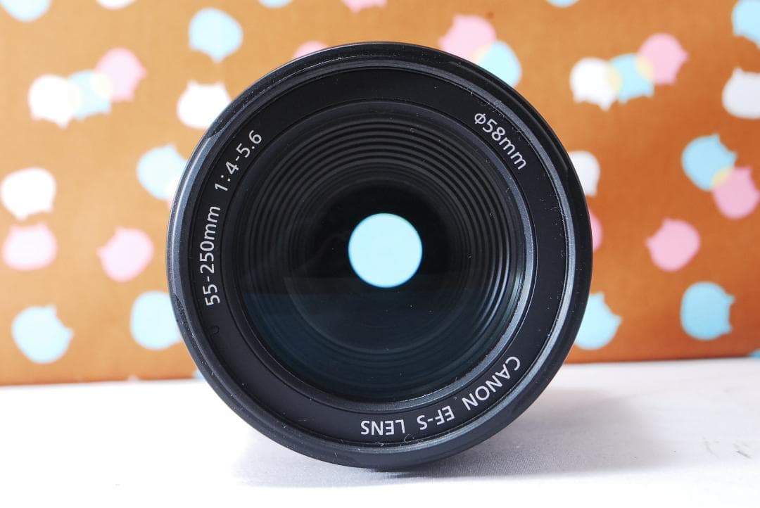 ✨超美品✨Canon EF-S 55-250mm F4-5.6 IS