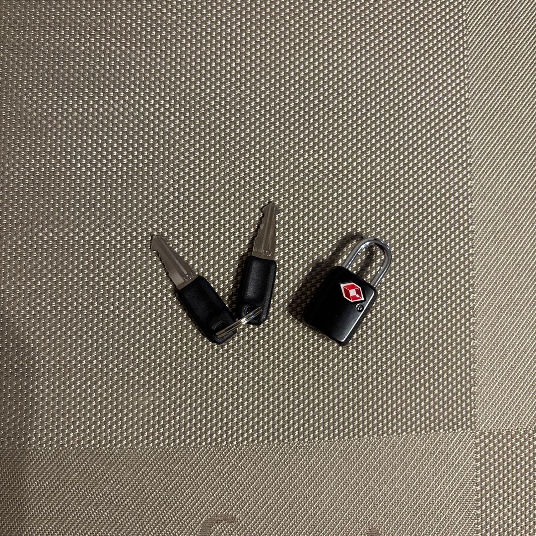 h*u様 LOUIS VUITTON ダミエジェアン コンケラン　キャリーケース