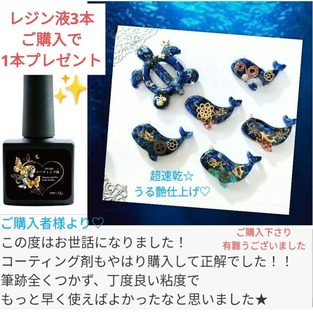 専用レジン液 フルール10本、コーティング剤つき