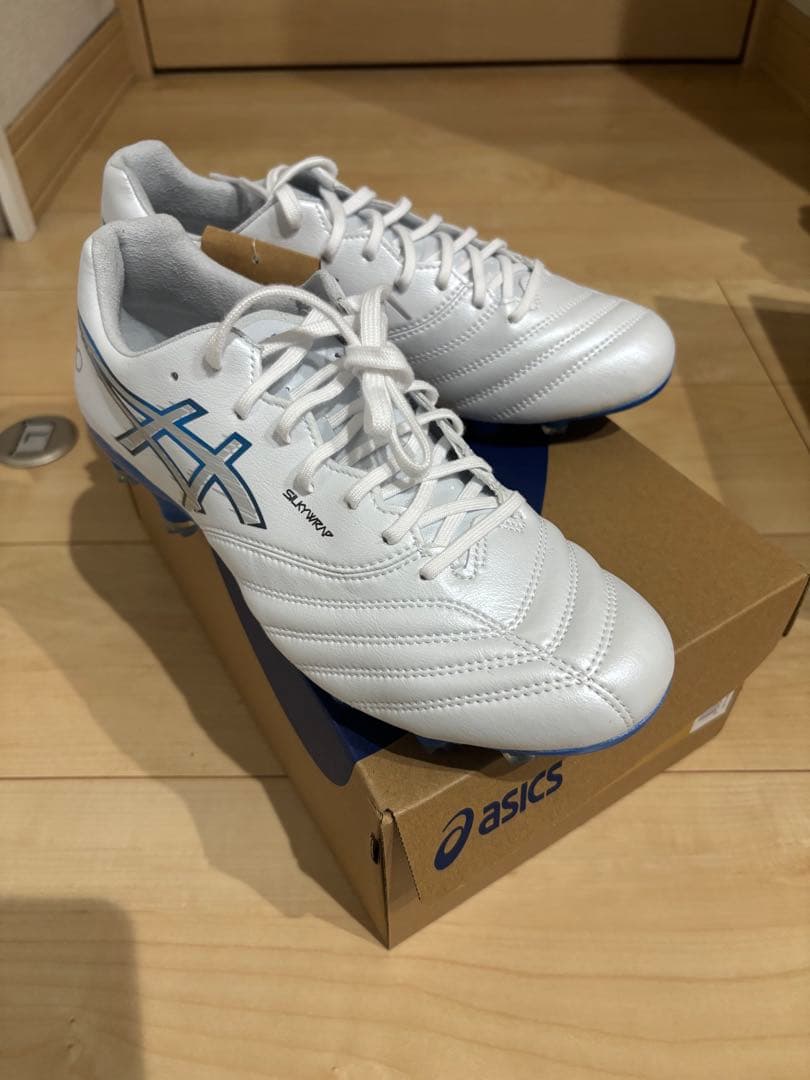 【新品未使用】ASICS DS-LIGHT X-FLY PRO3 25.0cm