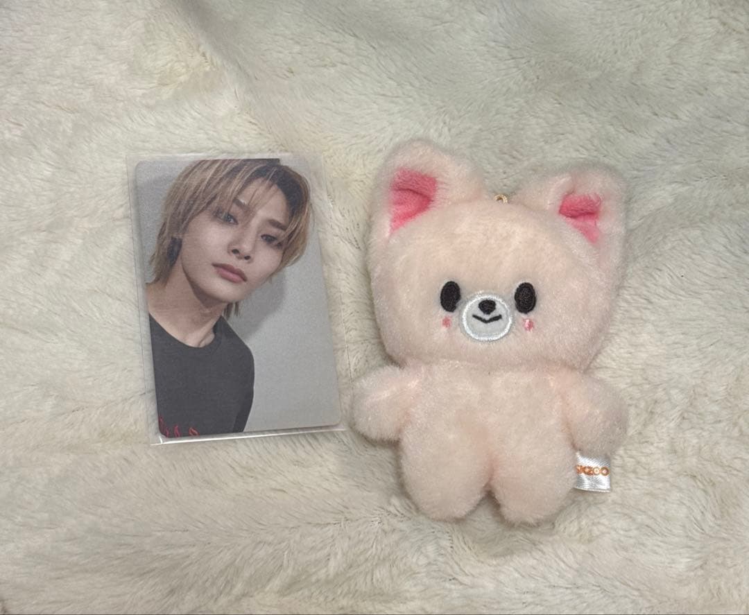 StrayKids スキズ アイエン フォクシ二ー 10cm ぬい トレカ - メルカリ