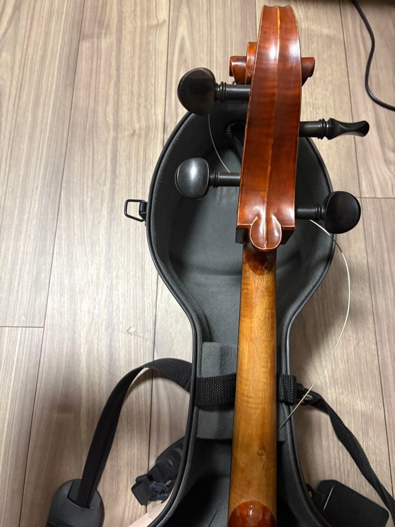 Gliga gems チェロ　4/4 2012年製 、ケース・弓・ブラックホール