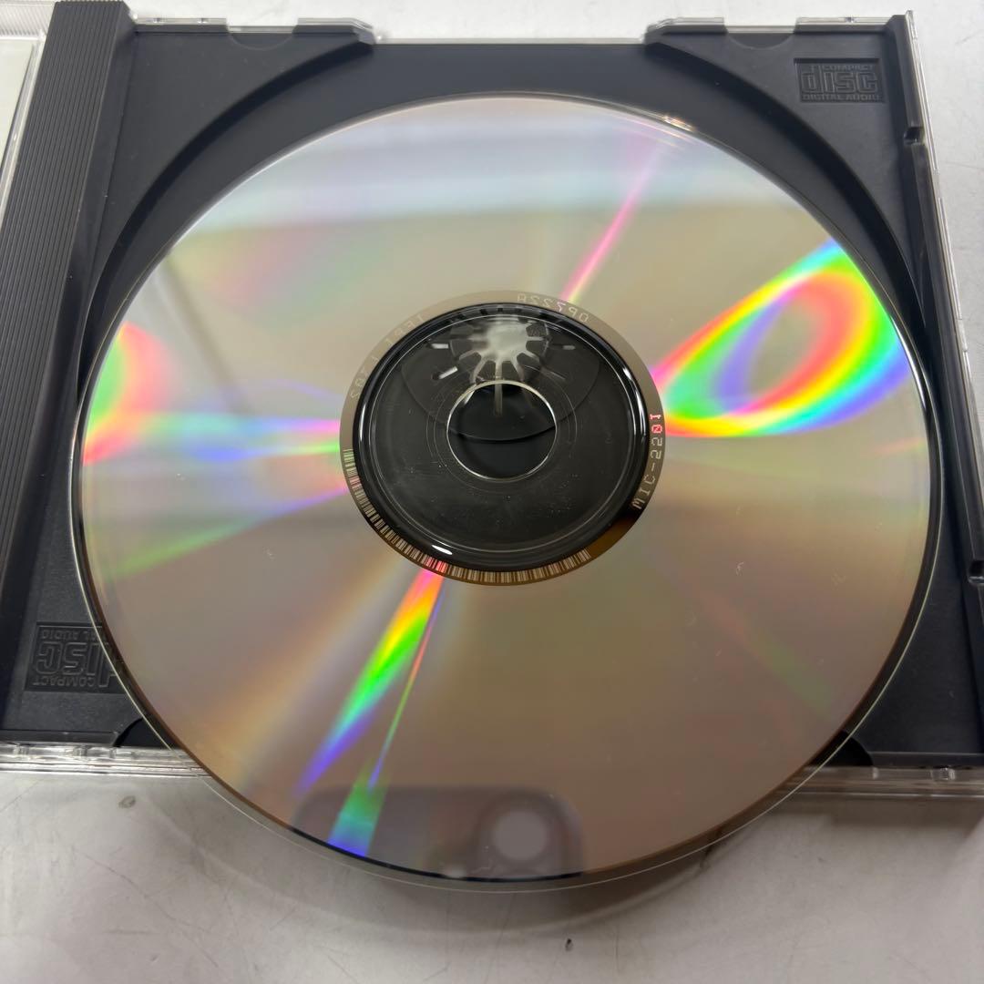 POWER DOLLS for Windows 95/3.1 パワードール