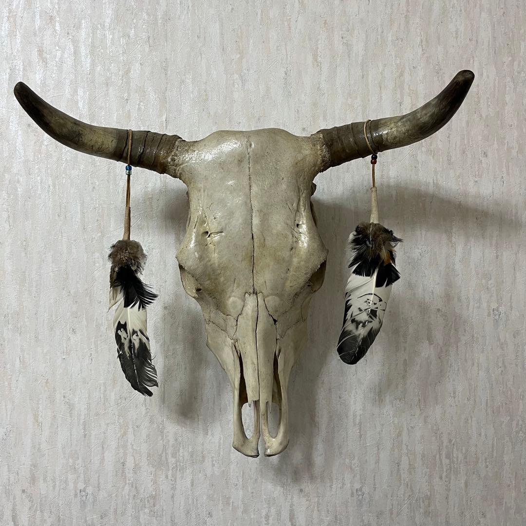 希少品 ヴィンテージ ビッグサイズ スカルヘッド バッファロースカル