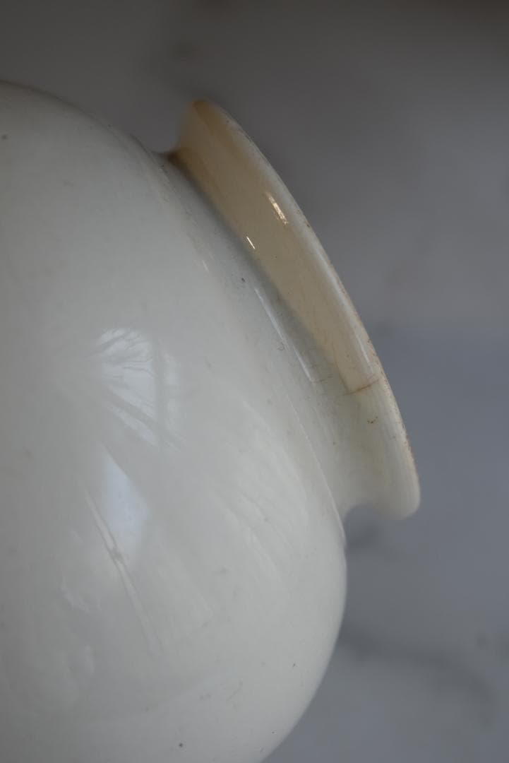 19世紀末サルグミンヌ　儚く美的な白ピシェ