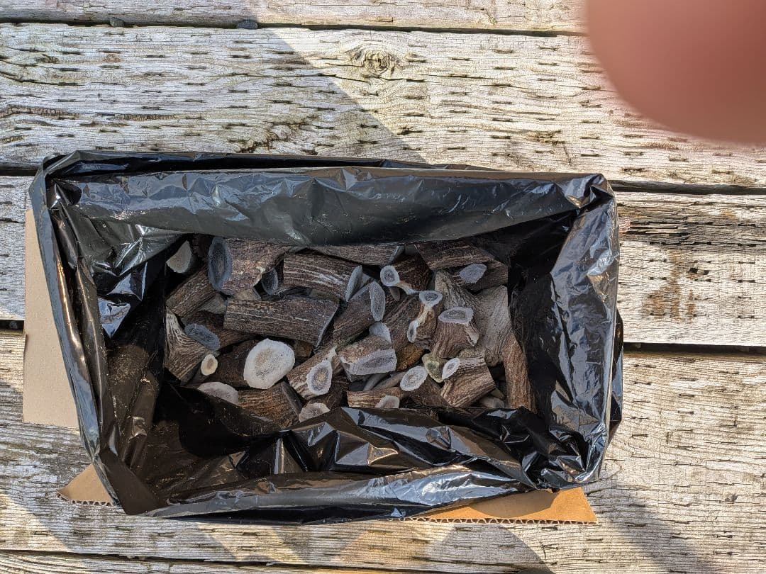 Susi様 専用【箱びっしり端材詰め合わせ】北海道エゾシカ 鹿の角