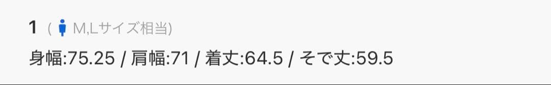 【新品】MAISON SPECIAL Prime-Over Nylon MA-1