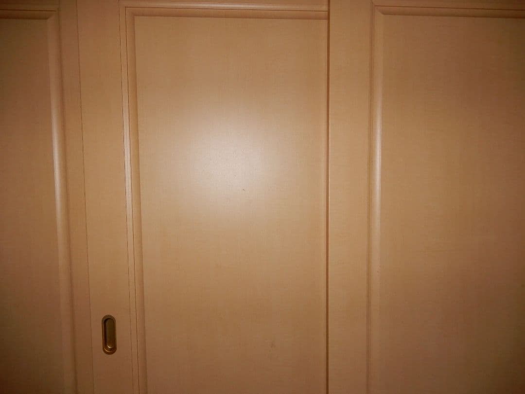 Nikon COOLPIX A900 ブラック※説明を良くお読みください