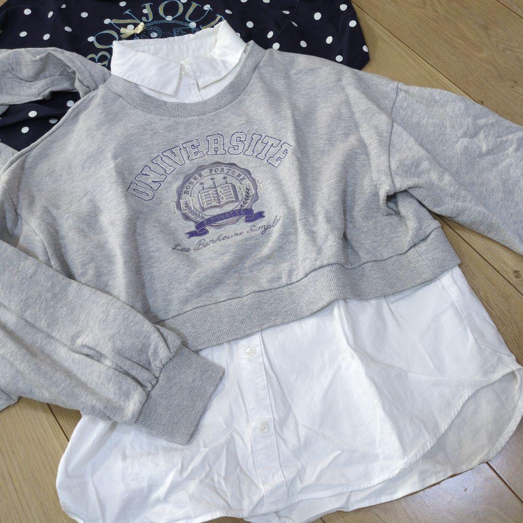 ポンポネットジュニア　150 M まとめ売り