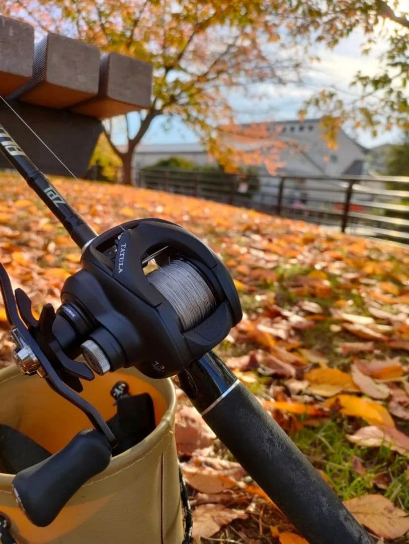 【正月限定価格】DAIWA 25TATULA TW 200HL ベイトリール