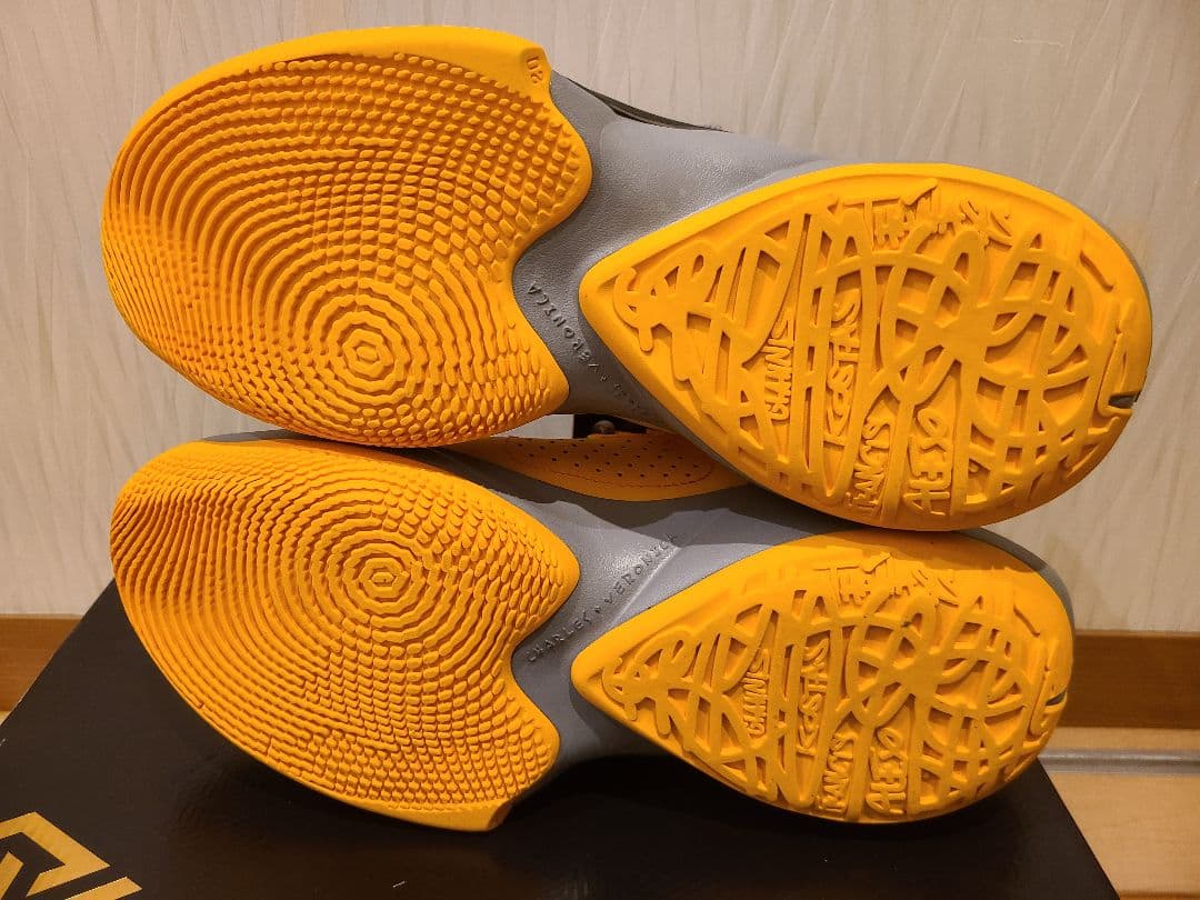 Nike ZOOM FREAK2バスケットボールシューズ(26.5cm)