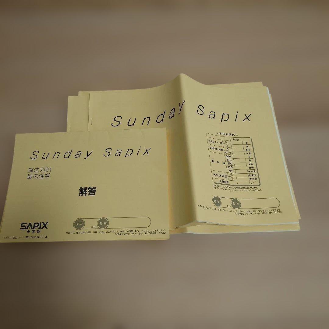 最新2025 SAPIX 小6 書込み少 デイリーサピックス 土特 講習 他