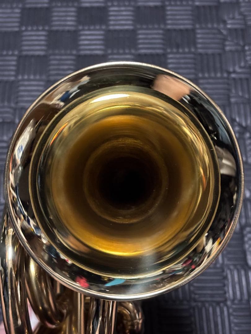 zen さまのJPT416 マウスピース無し