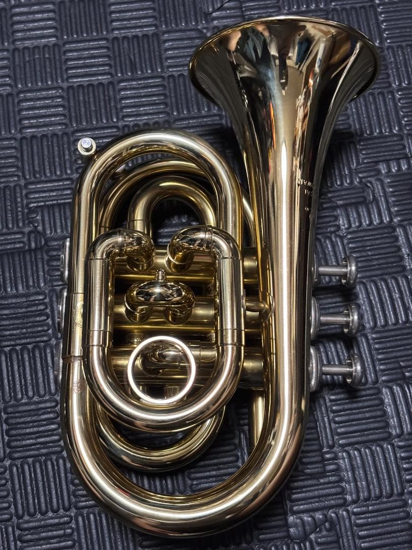 zen さまのJPT416 マウスピース無し