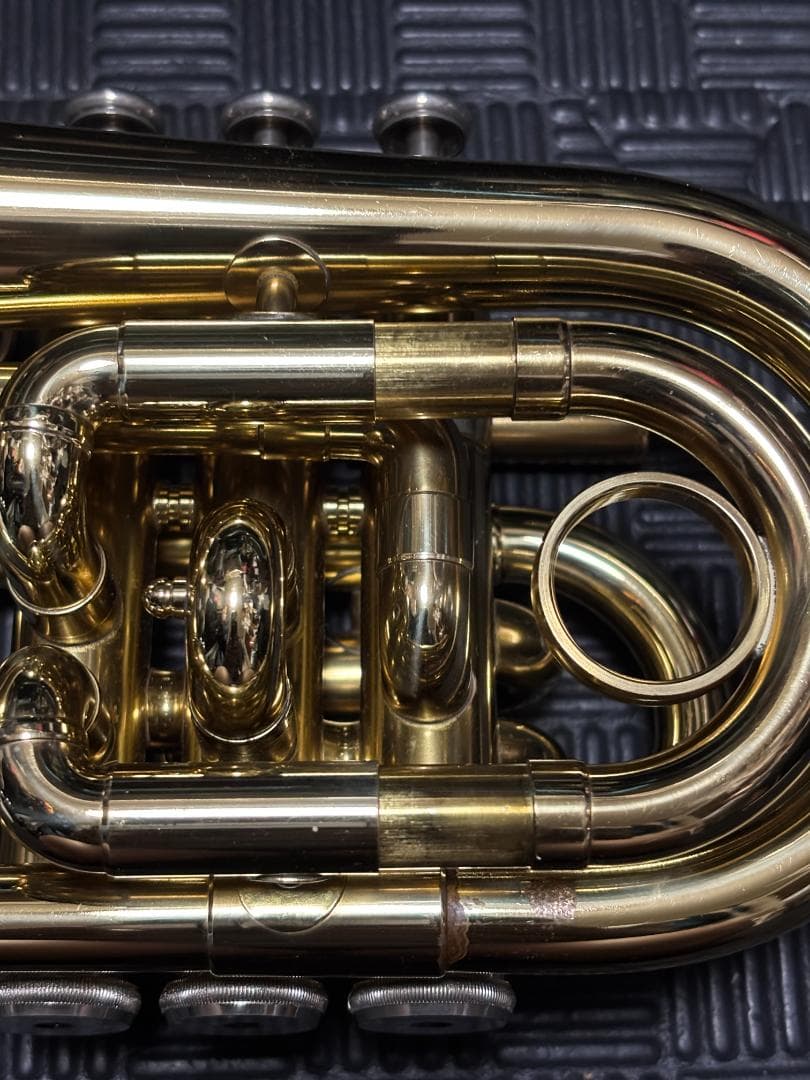 zen さまのJPT416 マウスピース無し