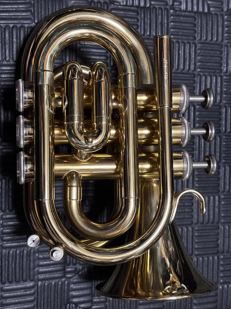 zen さまのJPT416 マウスピース無し