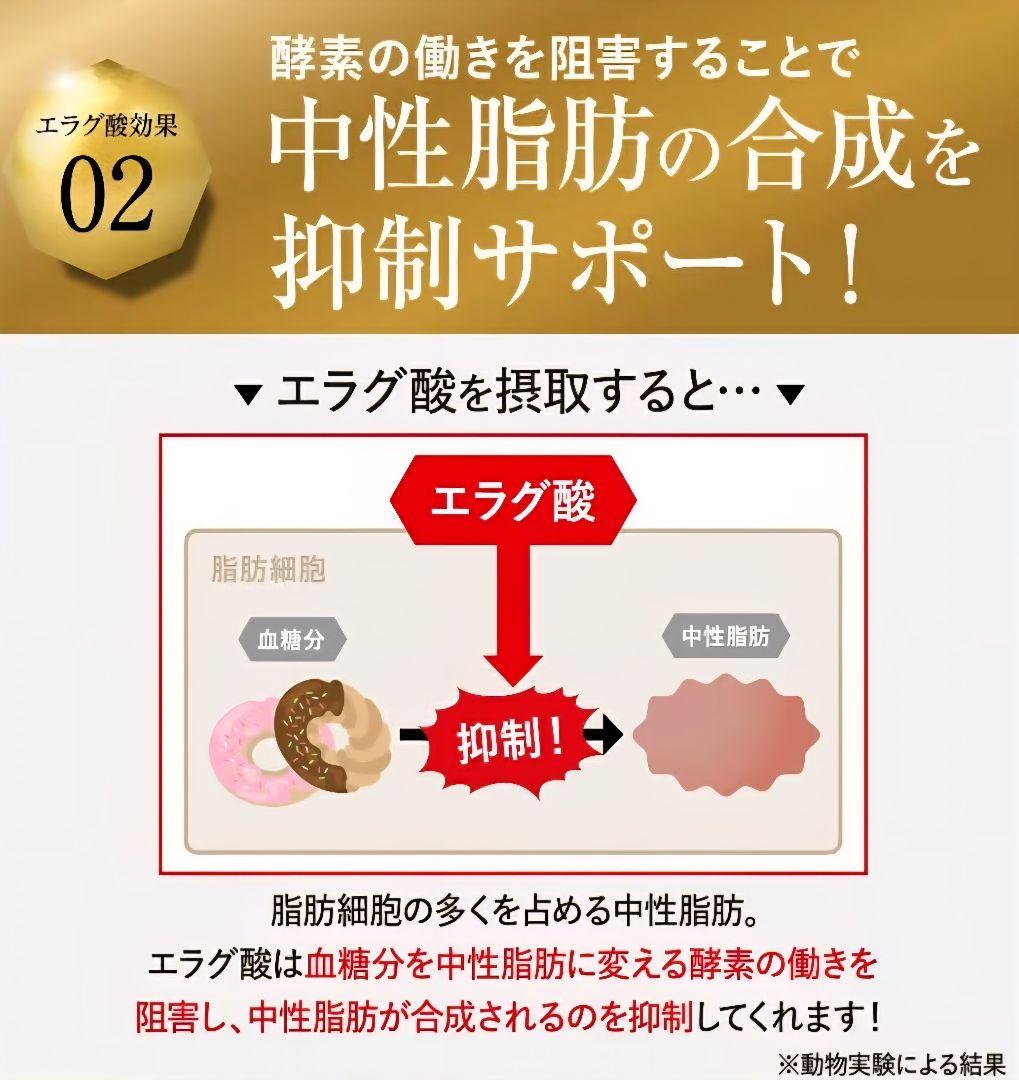 KILLER BURNERII ダイエットサプリ 90粒×2袋