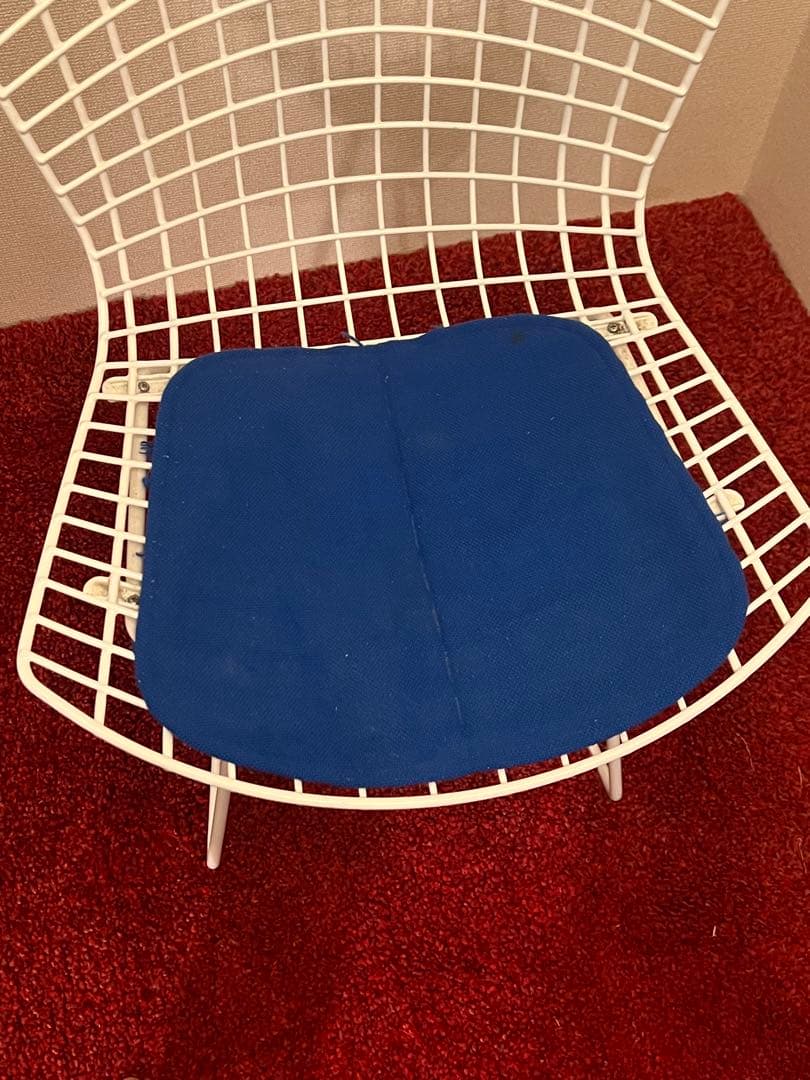 Harry Bertoia(ハリー・ベルトイア) ワイヤーチェア