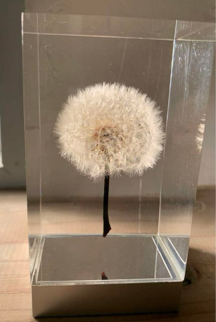 希少　倉俣史郎オマージュ　井上隆夫　 タンポポ　充電不良