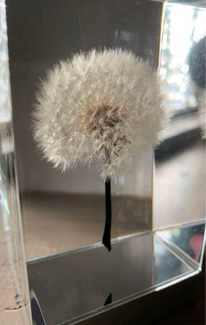 希少　倉俣史郎オマージュ　井上隆夫　 タンポポ　充電不良