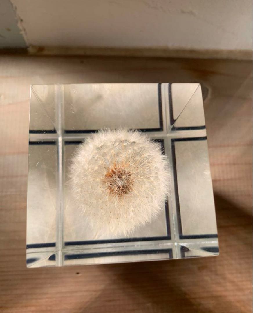 希少　倉俣史郎オマージュ　井上隆夫　 タンポポ　充電不良