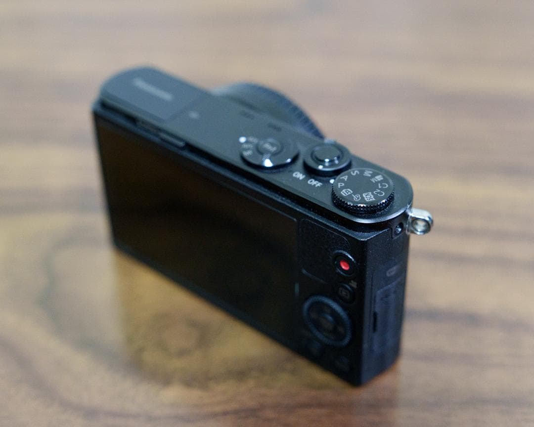 LUMIX GM1 / シャッター数 4901