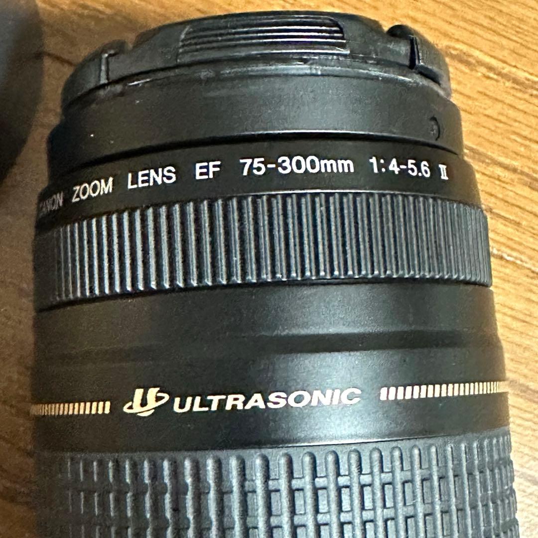Canon EF75-300mm 望遠レンズ