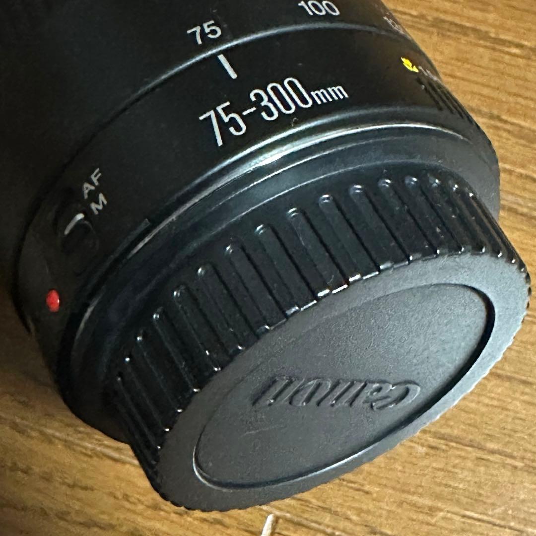 Canon EF75-300mm 望遠レンズ