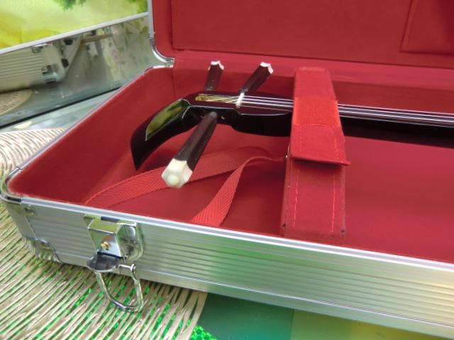 (送料無料)12.000円　沖縄三線専用　一丁入アルミハードケース　三線は別売り