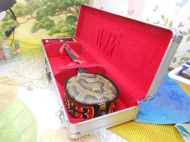 (送料無料)12.000円　沖縄三線専用　一丁入アルミハードケース　三線は別売り