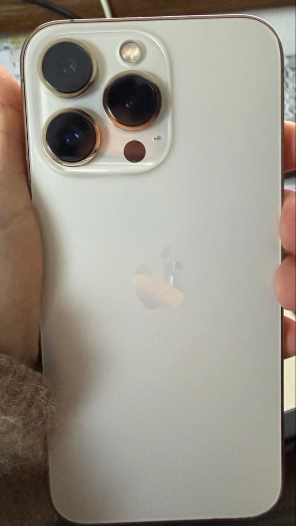 Apple iPhone 13 Pro ゴールド本体 充電ケーブル付き