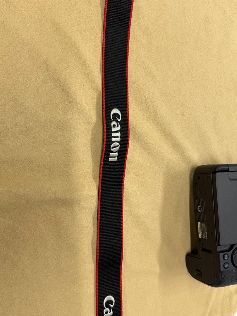 Canon EOS R6 ボディのみ　本体