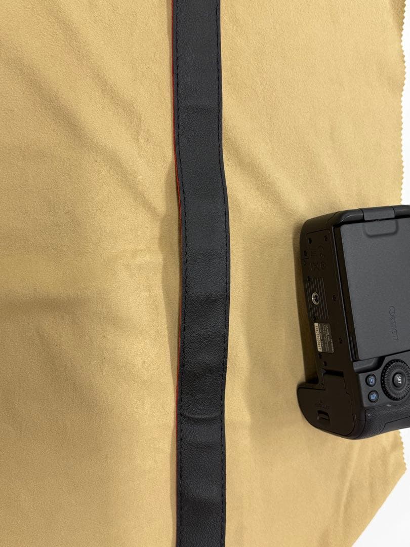 Canon EOS R6 ボディのみ　本体