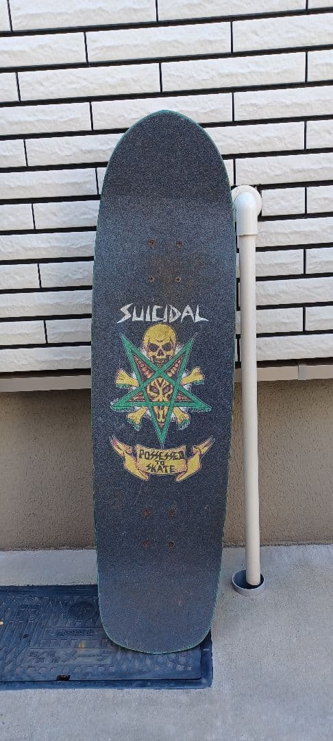 スーサイダルテンデンシーズ　スケートボード　コンプリート　dogtown